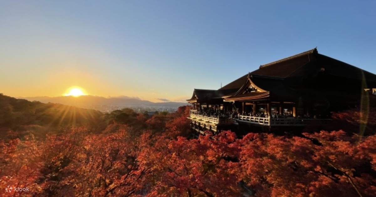 Kyoto Tour・Top Grade A5 Kobe Beef] Fushimi Inari Shrine